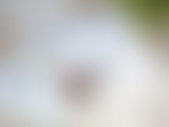 お客様と共に歩んだ半年間の物件探し