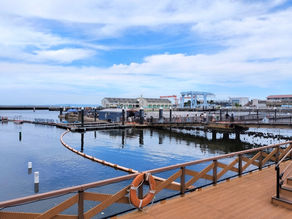 晴れて宅建士となりました。