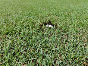 ゴルフの魅力を3つご紹介