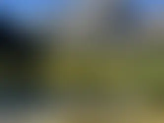 Welcome the Fall Colors 🍁🍂