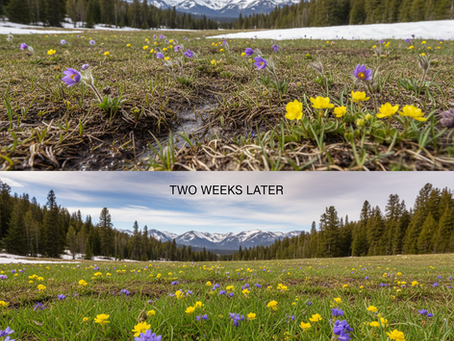 Spring is Nature's Best Science Class (Here's What Your Kid Will Learn)