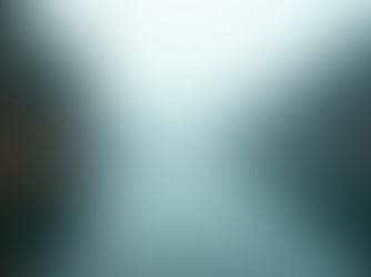 Outdoor Fun at Lake George: Experience XP Adventure at Lake George