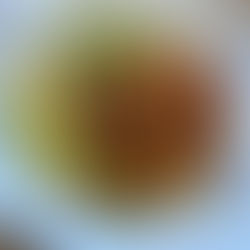 VIETNAMESISCHER TOFU MIT FISOLEN.