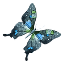 Watercolor Butterfly 15