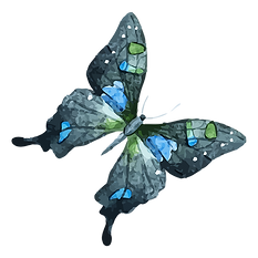 black, blue, and green butterfly with delicate wings, adding a touch of elegance and warmth to the design