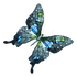 Borboleta 6