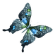 Aquarelle Papillon 15