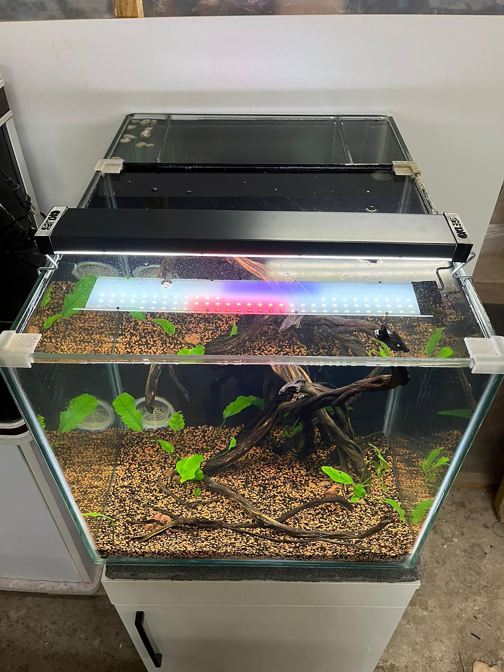 Küçük resim: KLES 100 cm Akvaryum Armatürü Spectrum Akvaryum Işıkları Kopyası Kopyası Kopyası