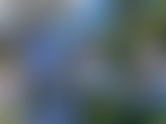 What a Hoppin’ Good Time at the Foxridge Egg Hunt!