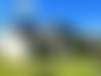 Facts about Selling a House With Solar Panels