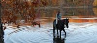 Grove Point Stables LLC