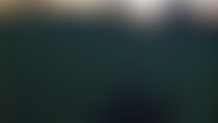 Dog Walk Four: Afraid of the Dark