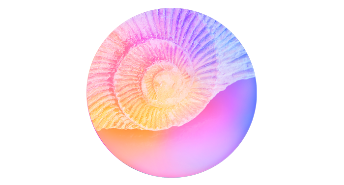 Vibrant, surreal illustration of a mirrored ammonite shell in rainbow pastel colours, symbolising growth, self-discovery, and personal boundaries