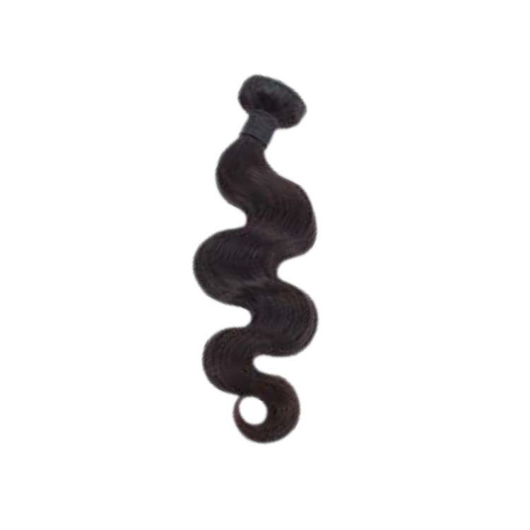 Bodywave