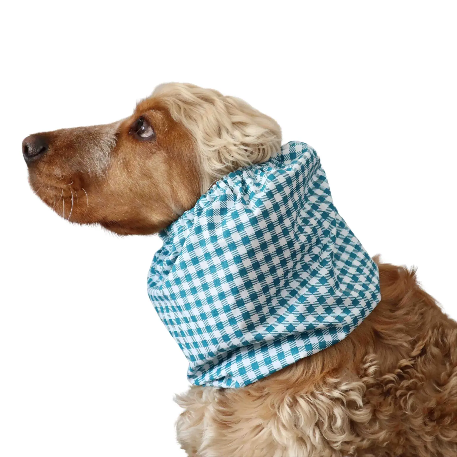 Snood Coton - Vichy Turquoise
