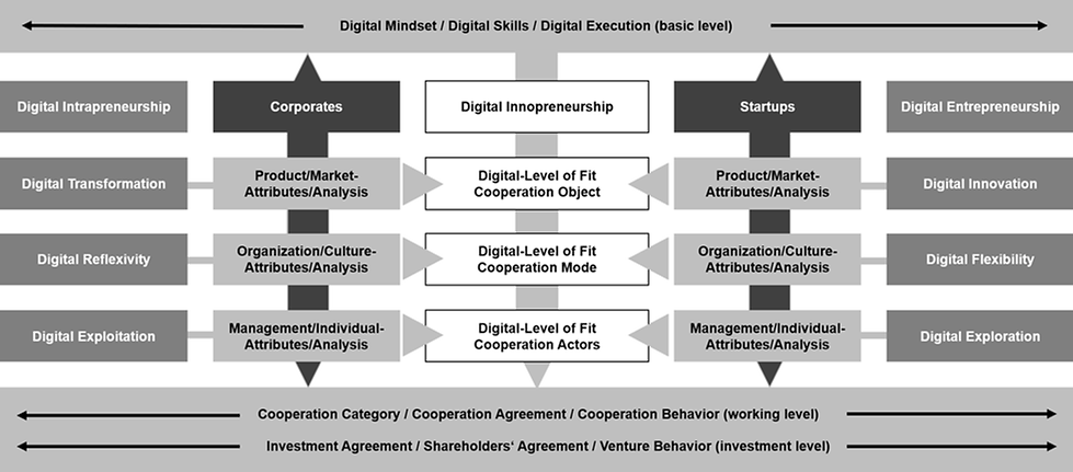 The Framework Conditions for a Digital Innopreneurship