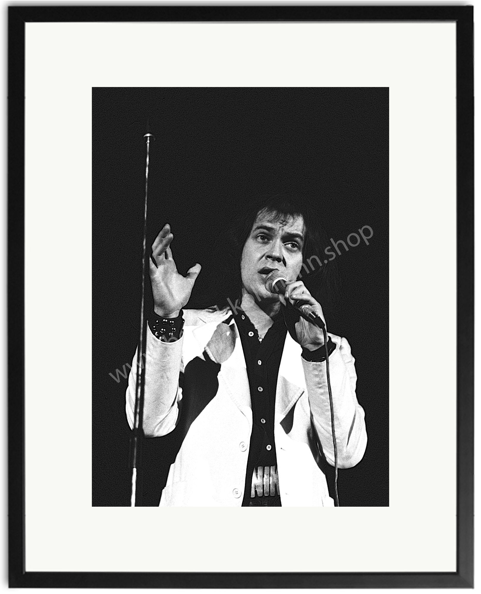 Udo Lindenberg - Paniksänger