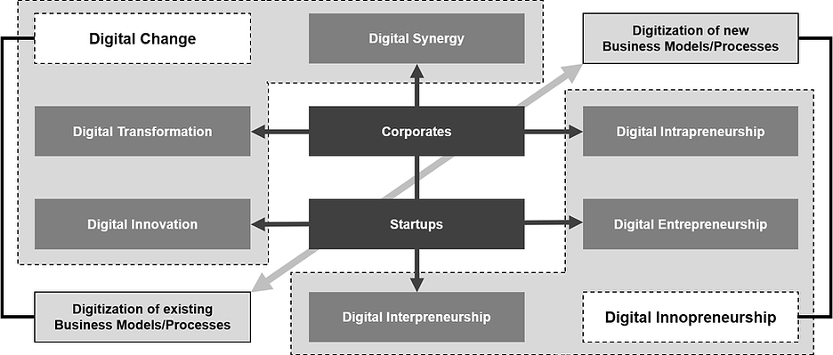 The Basic Concept for a Digital Innopreneurship