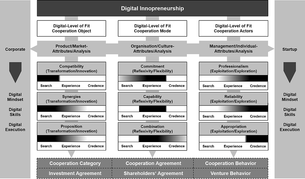 The Attributes for a Digital Innopreneurship