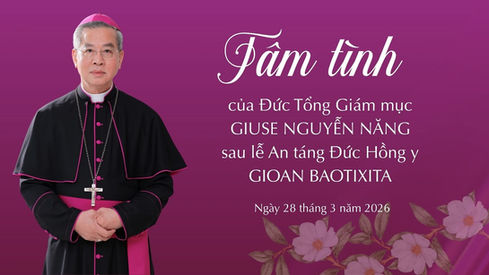 Tâm tình sau lễ an táng Đức Hồng Y Gioan Baotixita