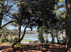 Vue du Golfe du Morbihan depuis Baden