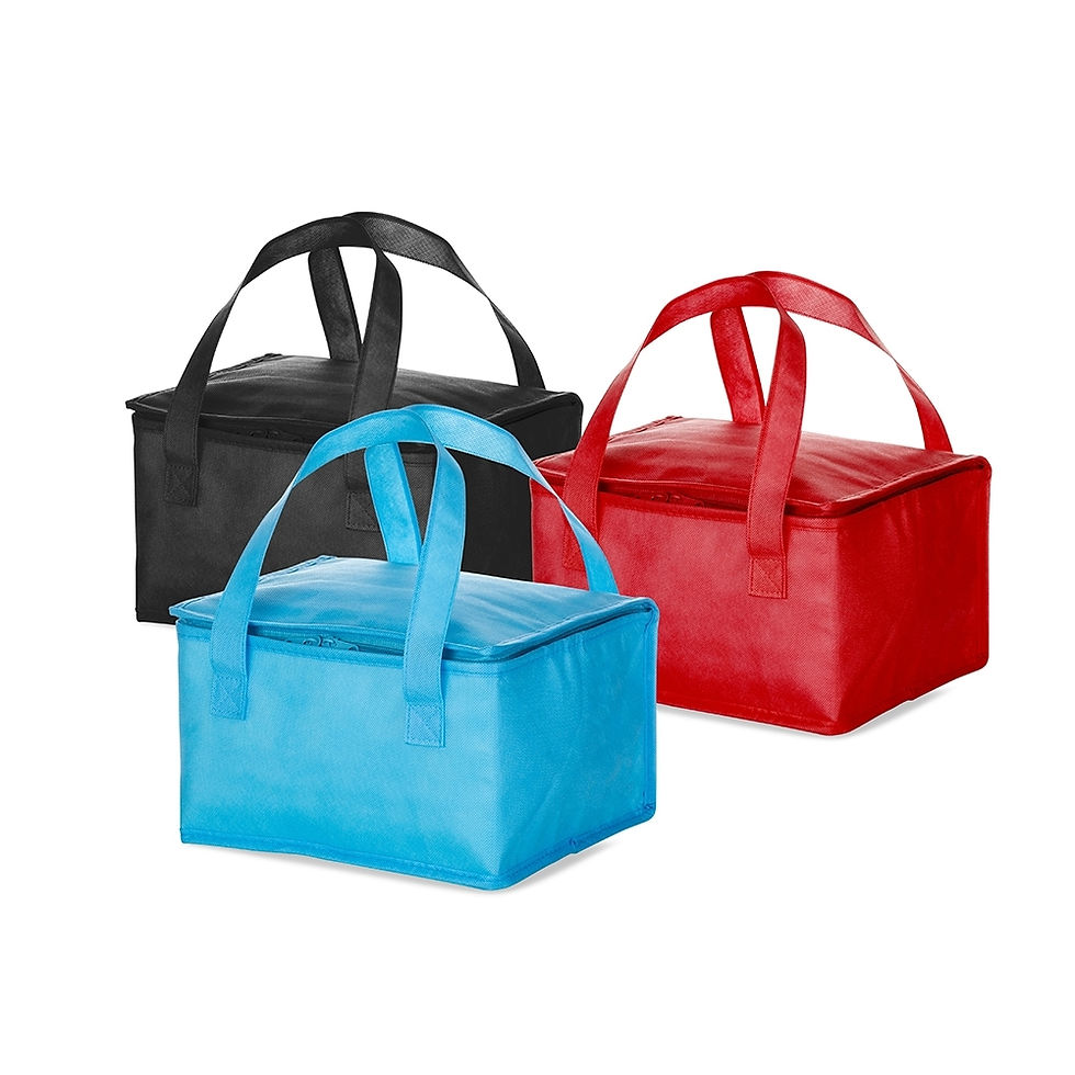 Miniatura: Bolsa Térmica 10 Litros