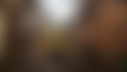 CAMPOS DO JORDÃO - SP