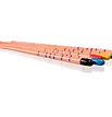 24031_PD_Dental_Endo_Gutta_Percha_4-6_Obturation_CAT.webp
