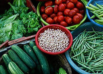 Assorted Vegetables on Plastic Trays
