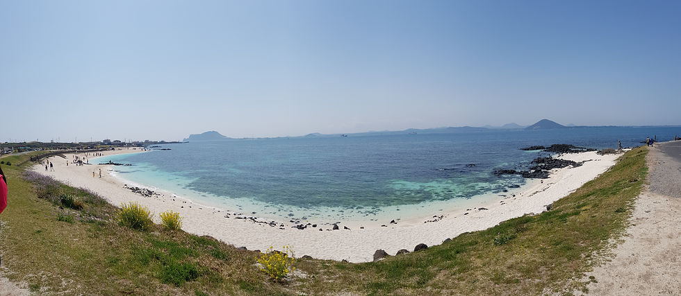 20190408_120831.jpg