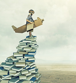 little aviator on 3d books.jpg