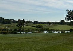 IMG_4154_edited.jpg