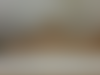 10 Tips To Avoid Water Damage to Your Home