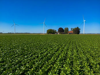 DJI_0673.jpg
