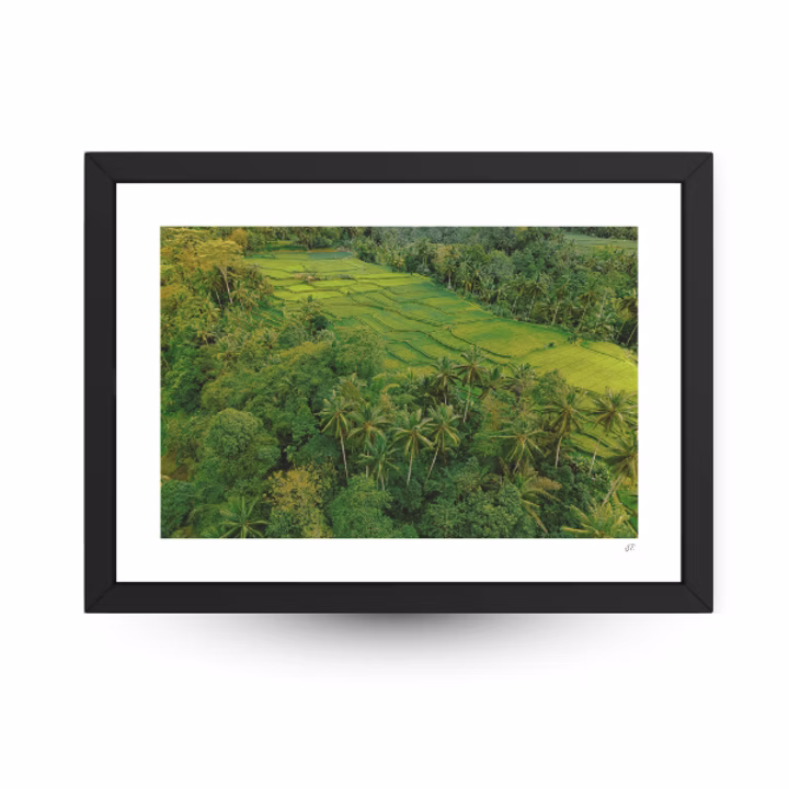 Poster Bali, Tegallalang poster, Bali cadeau, souvenir Bali, poster groen, groene poster, poster reizen, Bali poster