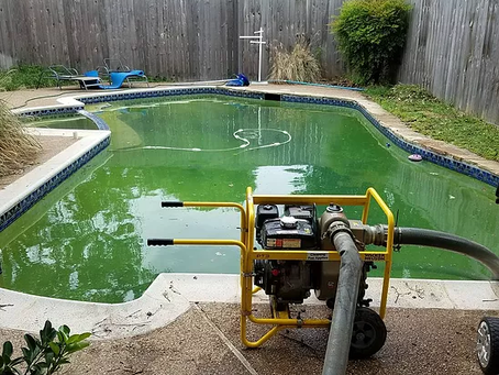 Preventing Algae Growth