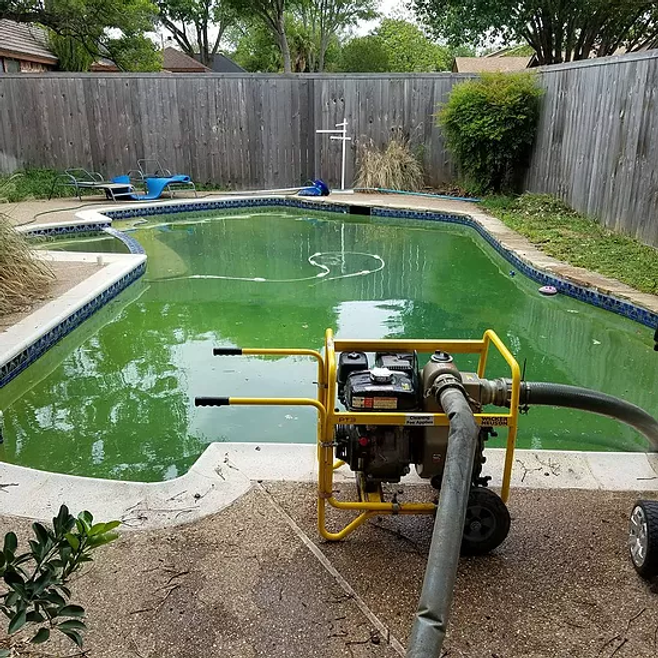 View of Preventing Algae Growth