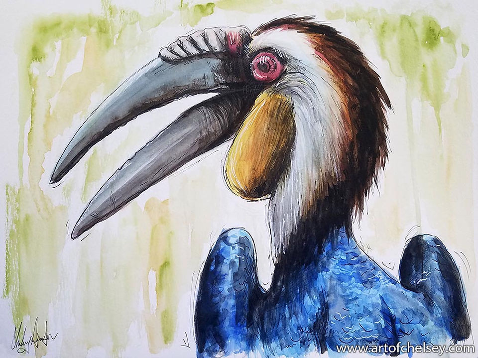 Hornbill Sketch in ink & watercolor