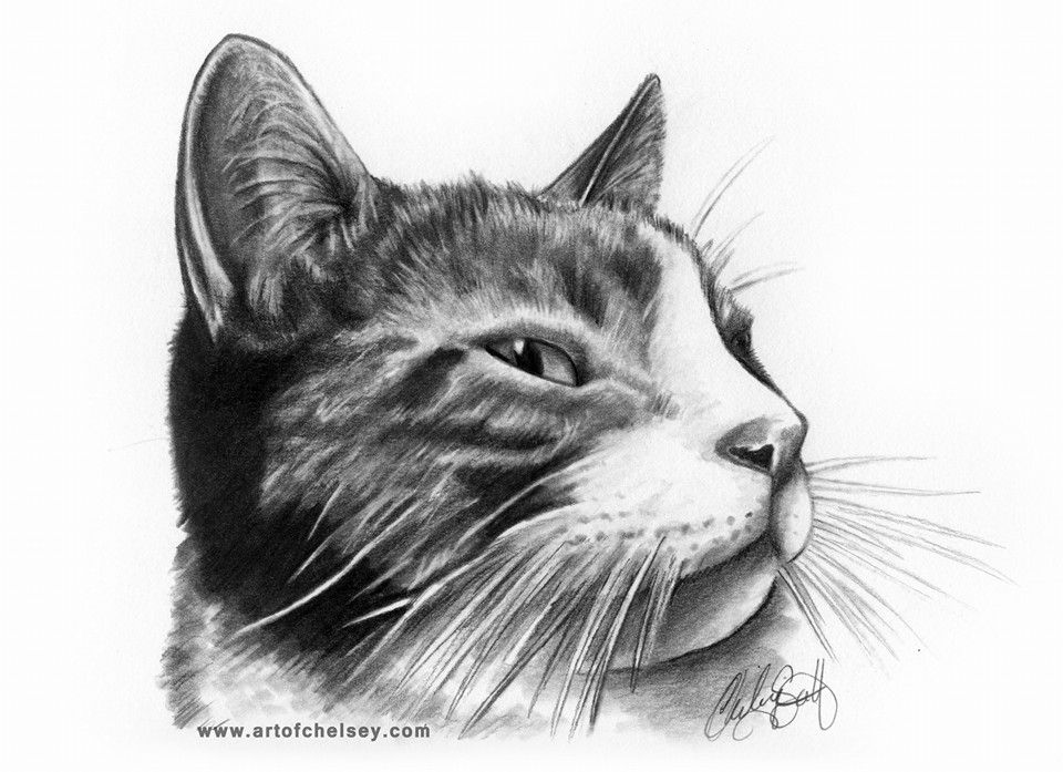 Bumpkin portrait