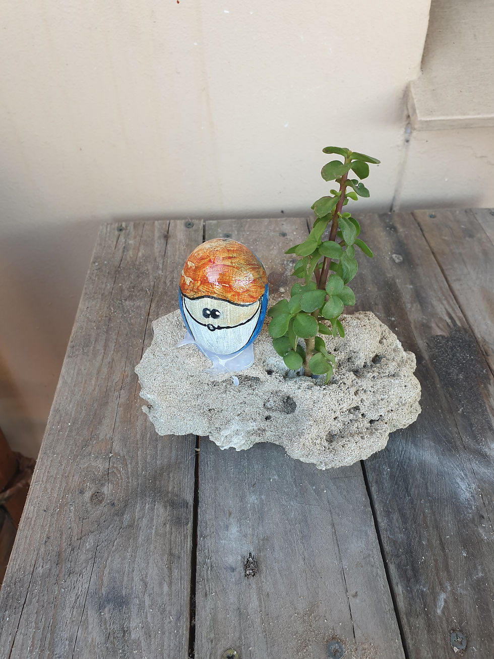 Thumbnail: sandstone succulent pots with plants ans variety of pebble art