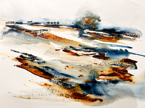 Les Marais de Camargue