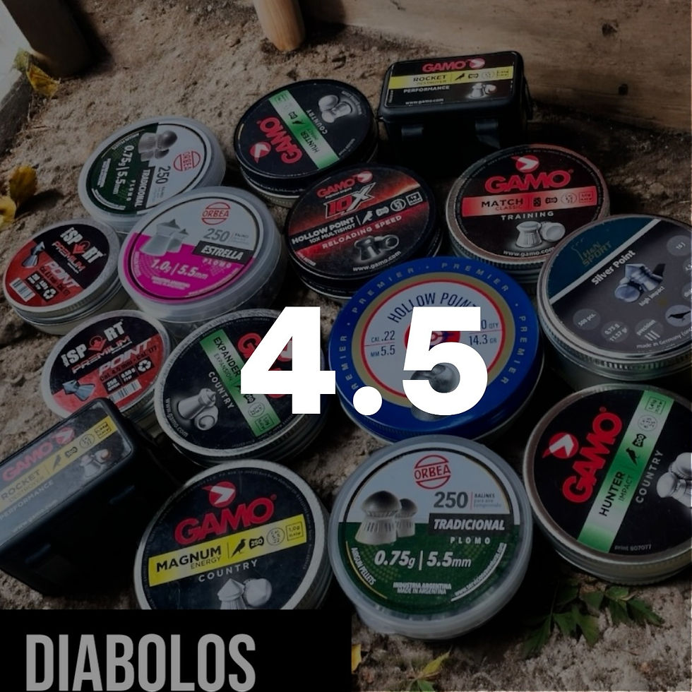 fondo4.5.jpg