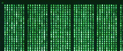 giphy-13.gif