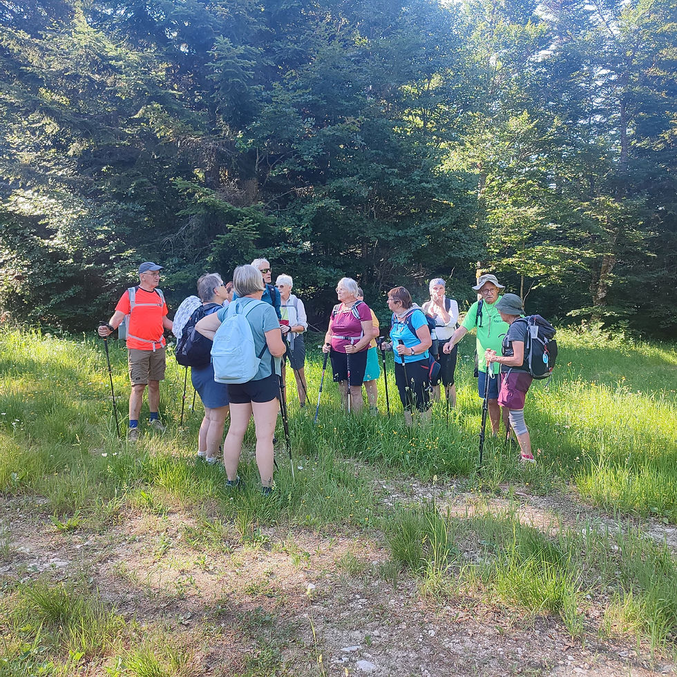 12 Forêt de Lente 11km Dn+ 400m (77)