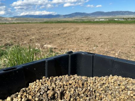 Exploring the Impact of Wool Pellets on Crop Growth in Large Field Experiments