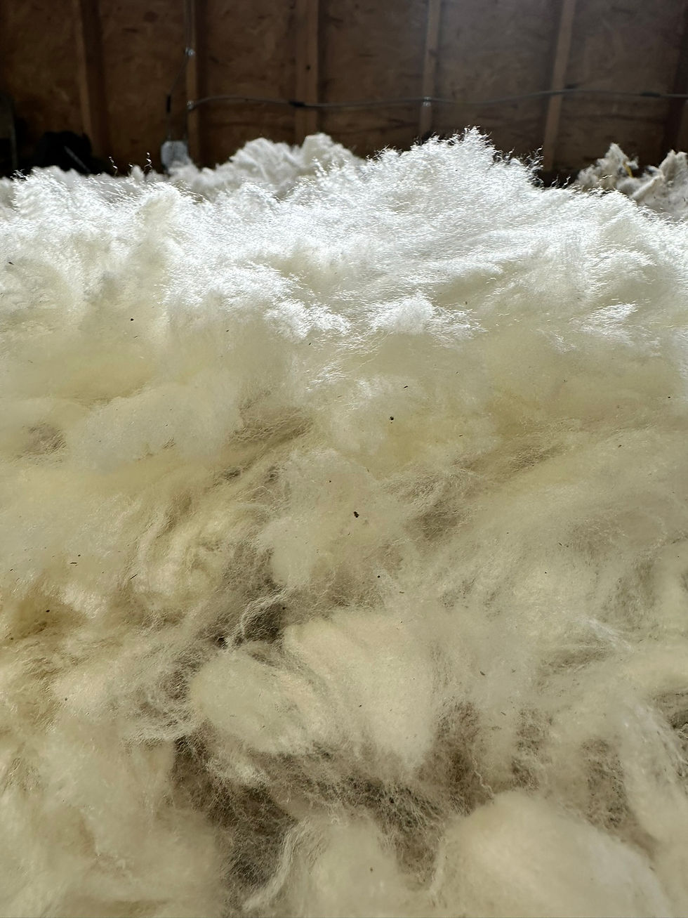 Wool Mills Operating in the United States: Part 4