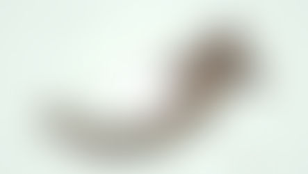 La gestion du changement : Une nécessité pour les entreprises modernes