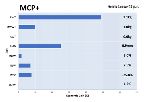 MCPplus.gif