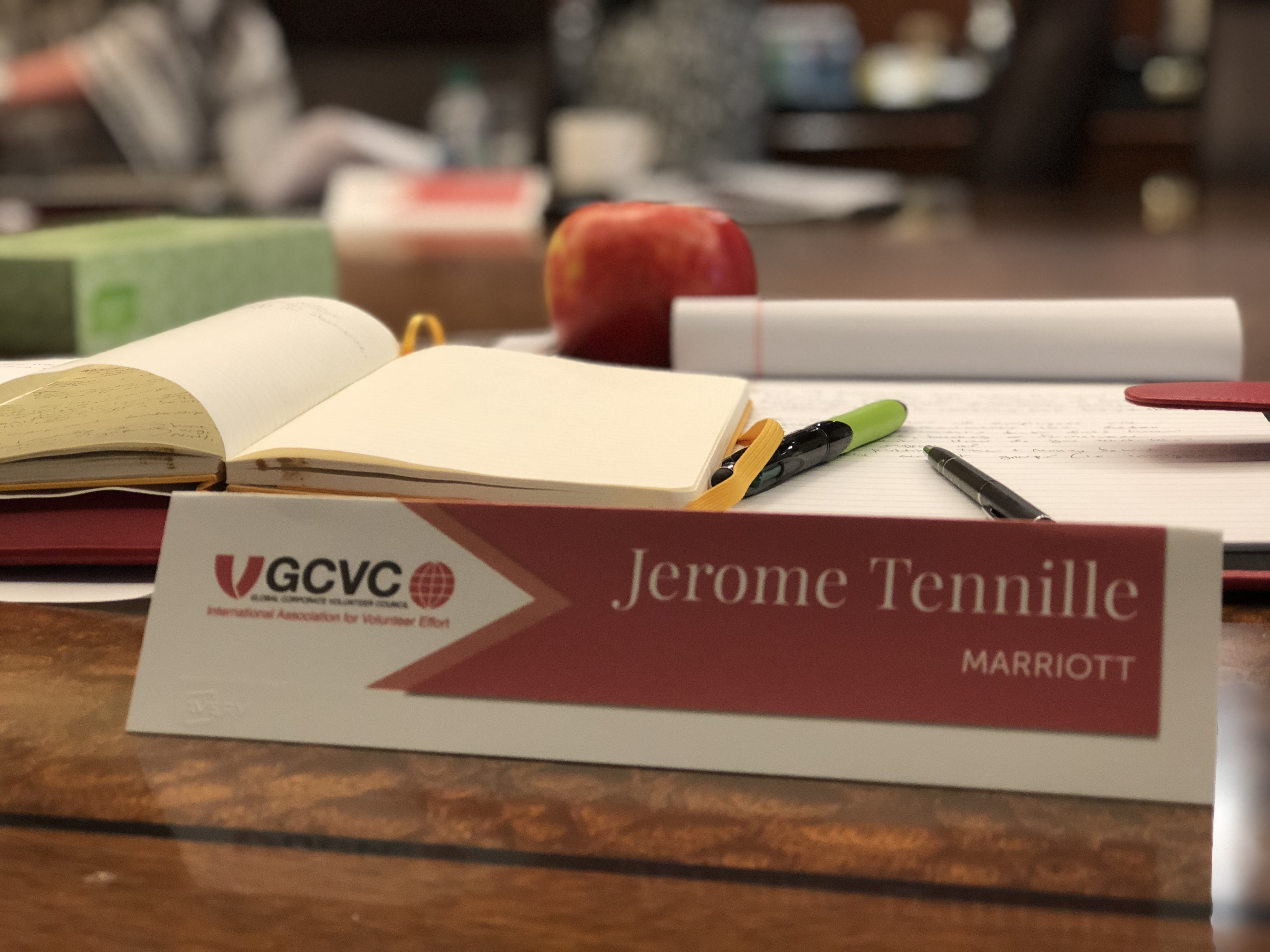 2018 IAVE GCVC Meeting