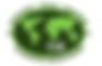 CVA emblem (2).png